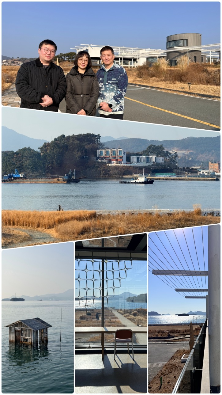 collage1.jpg